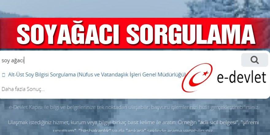 Soyağacı sitesi, çifte vatandaşlığın önünü açtı