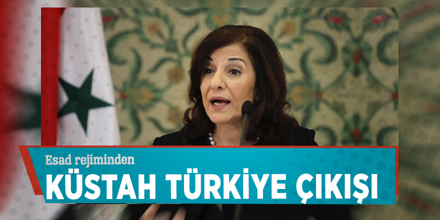 Esad rejiminden küstah Türkiye çıkışı