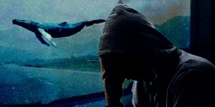 'Mavi Balina' oyunu oynayan bir genç daha intihar etti