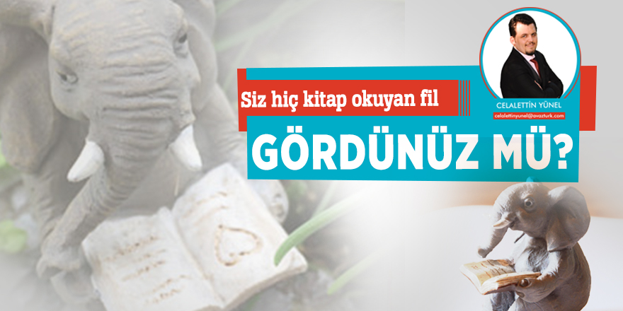 Siz hiç kitap okuyan fil gördünüz mü?