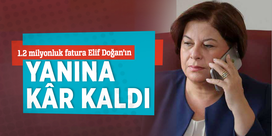 1.2 milyonluk fatura Elif Doğan'ın yanına kâr kaldı