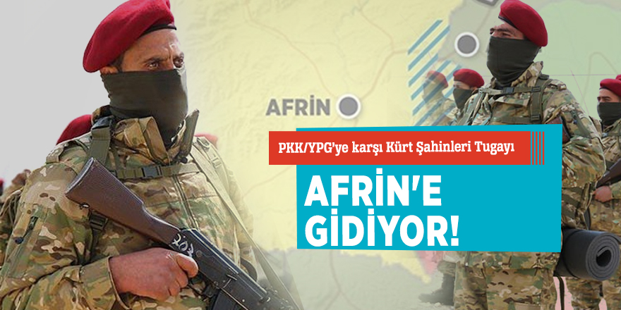 Kürt Şahinleri Tugayı Afrin'e gidiyor!