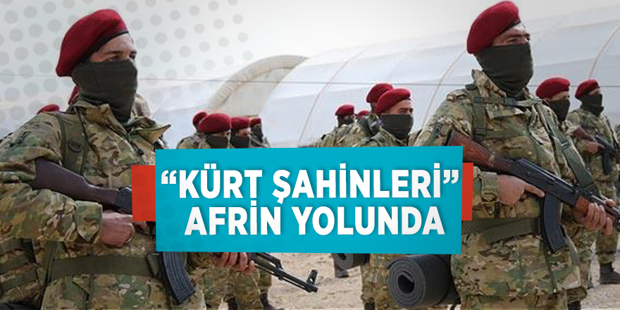 “Kürt Şahinleri” Afrin yolunda