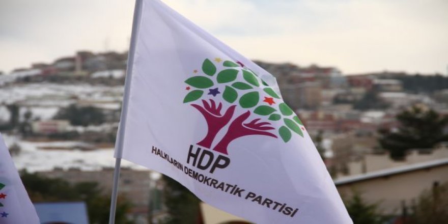 HDP'li iki vekilin milletvekillikleri düşürüldü