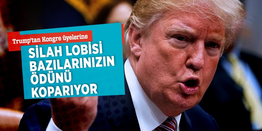 Trump'tan Kongre üyelerine “Silah lobisi bazılarınızın ödünü koparıyor”