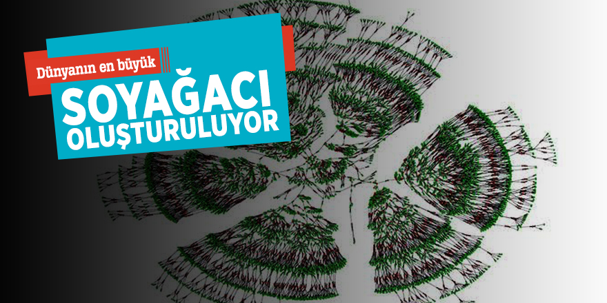Dünyanın en büyük soyağacı oluşturuluyor
