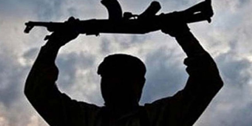 Şırnak'ta 3 PKK'lı terörist teslim oldu