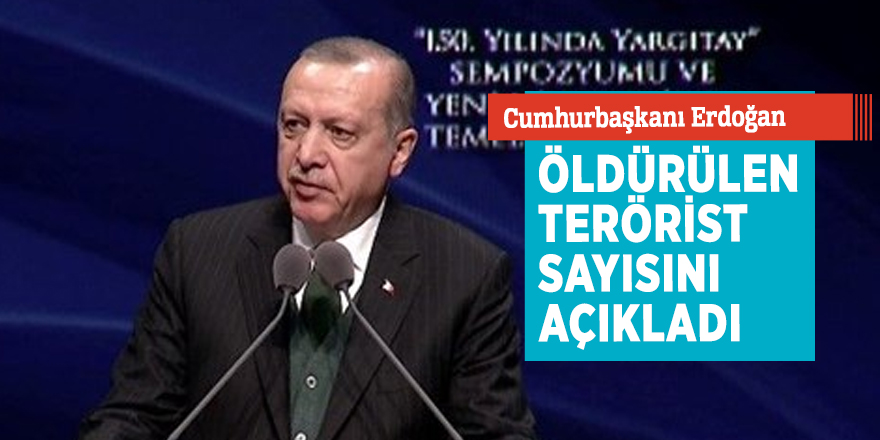 Cumhurbaşkanı Erdoğan öldürülen terörist sayısını açıkladı
