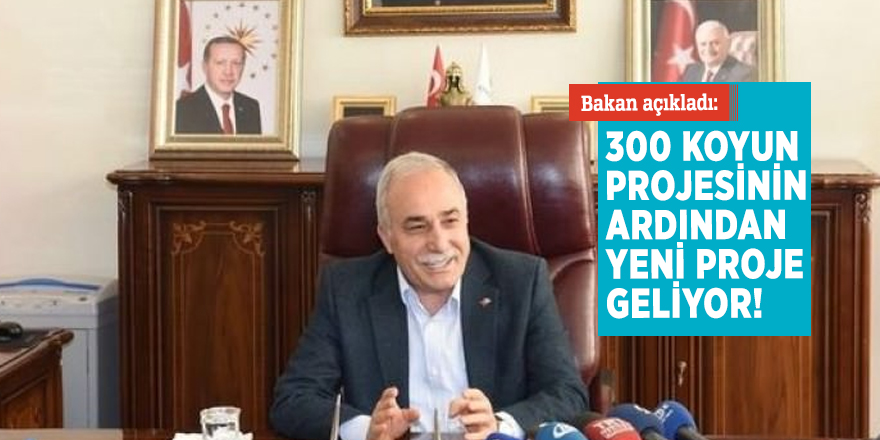 Bakan açıkladı: 300 koyun projesinin ardından yeni proje geliyor!