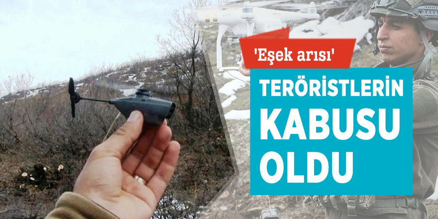'Eşek arısı' teröristlerin kabusu oldu