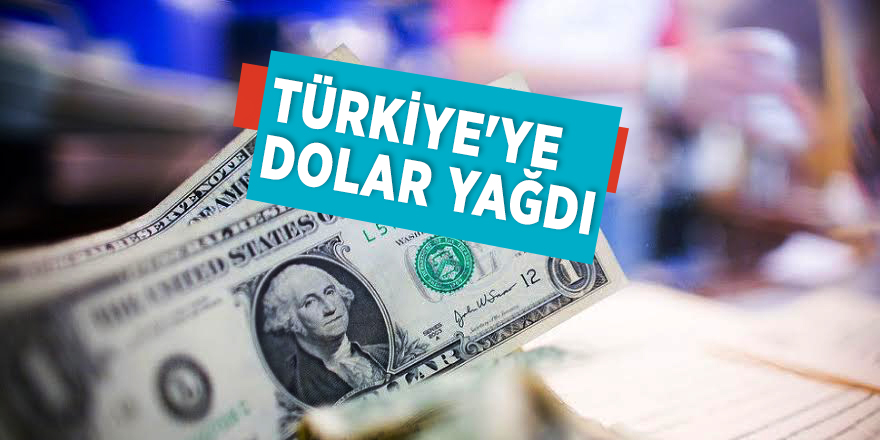 Türkiye'ye dolar yağdı