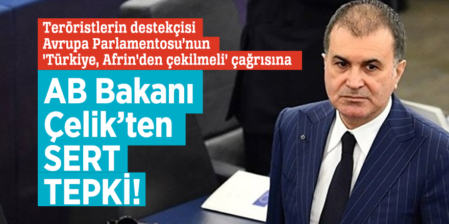 AB Bakanı Çelik'ten AP'nin skandal çağrısına sert tepki!