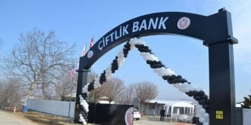 "Çiftlik Bank" soruşturmasında, bir kişi daha tutuklandı