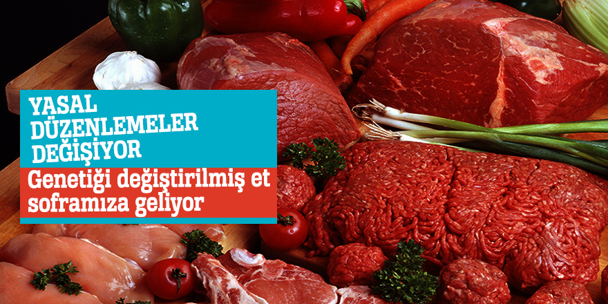 Yasal düzenlemeler değişiyor genetiği değiştirilmiş et soframıza geliyor