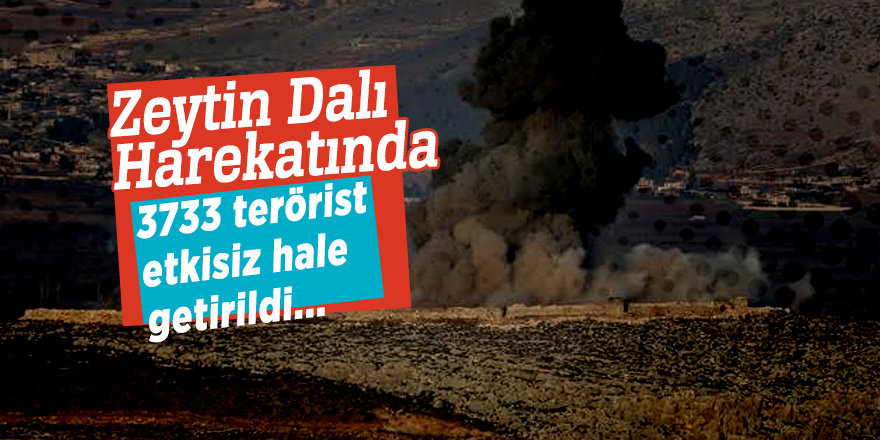 Zeytin Dalı Harekatında 3733 terörist etkisiz hale getirildi