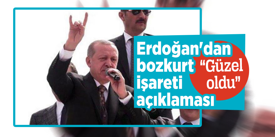 Erdoğan'dan bozkurt işareti açıklaması “Güzel oldu”