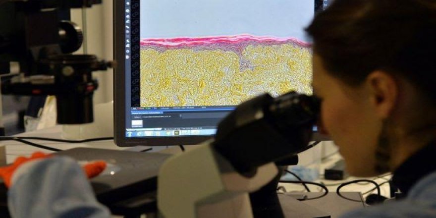İnsan vücudunda yeni bir 'organ' keşfedildi