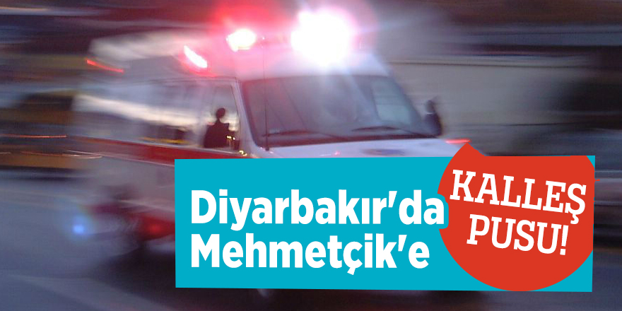 Diyarbakır Hazro'da Mehmetçik'e kalleş pusu!