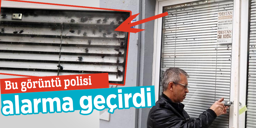 Emlakçı ofisinin camındaki sinekler polisi alarma geçirdi