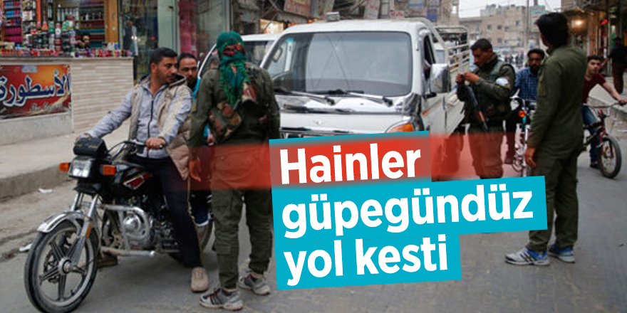 Hainler güpegündüz yol kesti