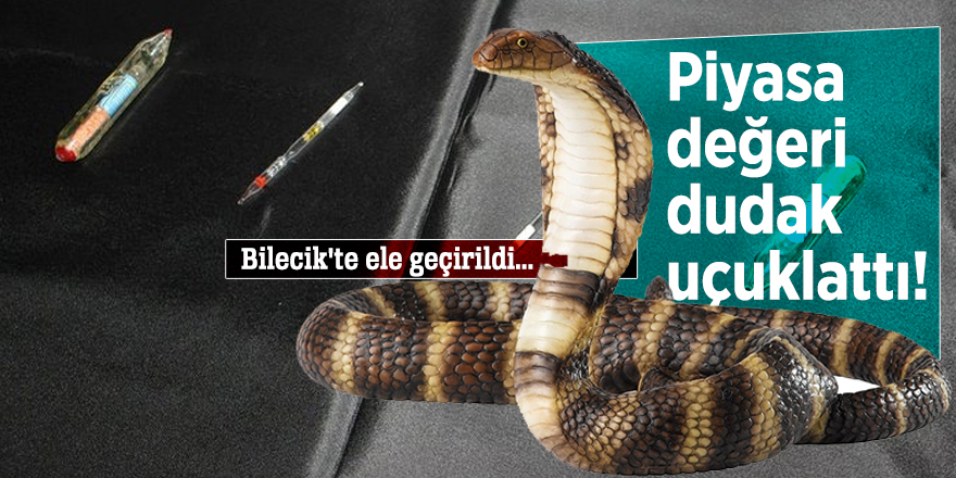 Bilecik'te ele geçirilen kobra zehrinin piyasa değeri dudak uçuklattı