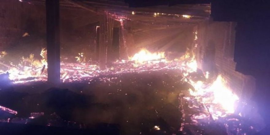 Mandırada çıkan yangında 40 hayvan telef oldu