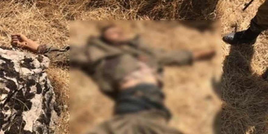 Tunceli'de 5 terörist daha etkisiz hale getirildi