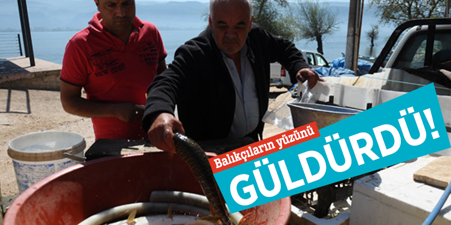Turna avı  balıkçıların yüzünü güldürdü