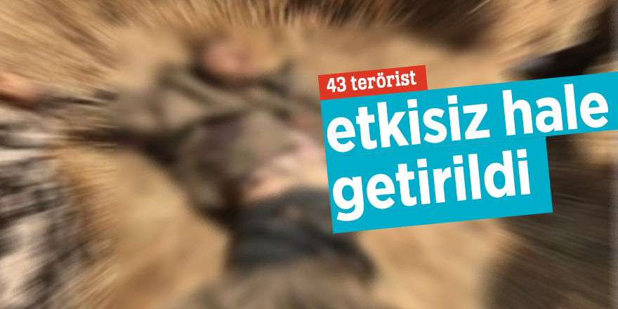 43 terörist etkisiz hale getirildi