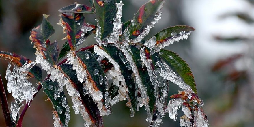 Meteoroloji uyardı: 5 il donacak!