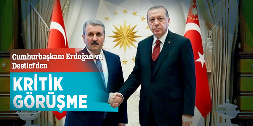 Cumhurbaşkanı Erdoğan, Destici ile görüşecek