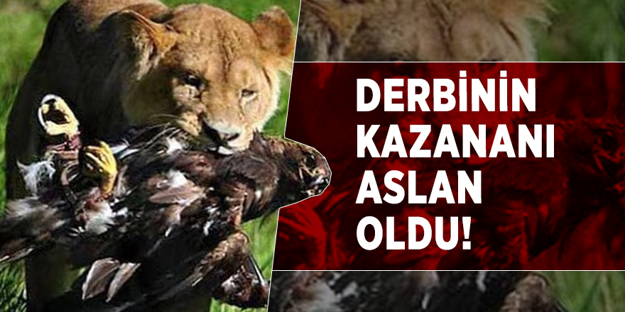 Derbinin kazananı ASLAN oldu!