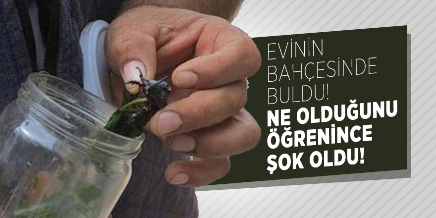 Evinin bahçesinde buldu! Ne olduğunu öğrenince şok oldu