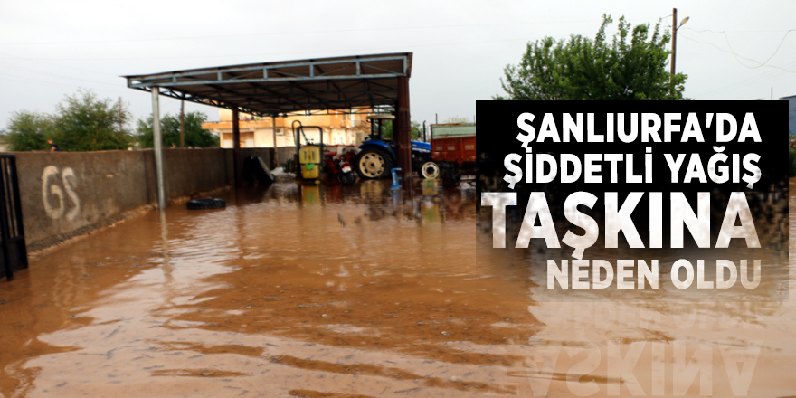 Şanlıurfa'da şiddetli yağış taşkına neden oldu