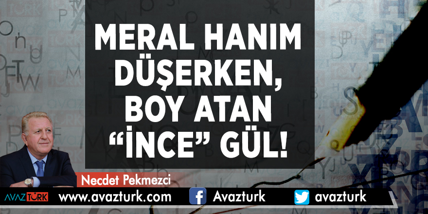 Meral hanım düşerken, boy atan “ince” gül!