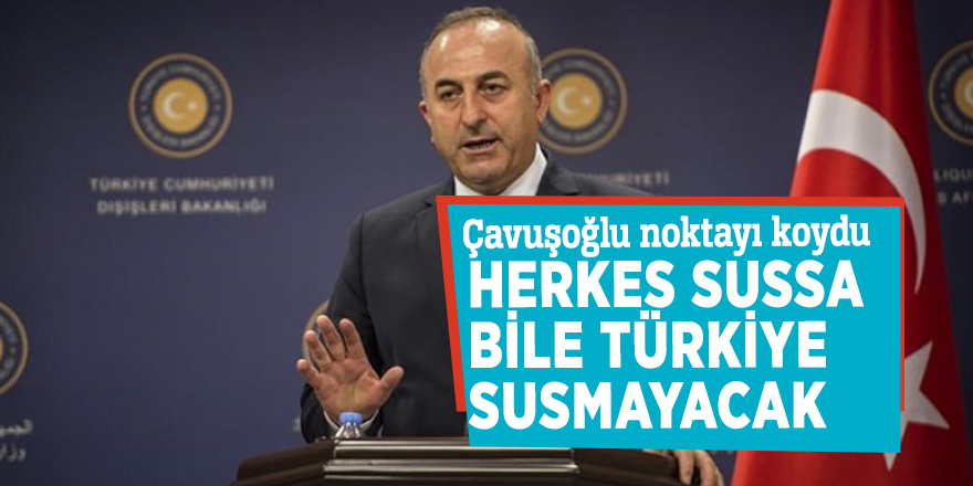Çavuşoğlu: Herkes sussa bile Türkiye susmayacak