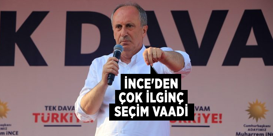 İnce'den çok ilginç seçim vaadi!