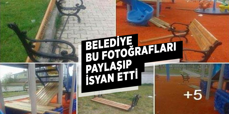 Belediye fotoğrafları paylaşıp isyan etti