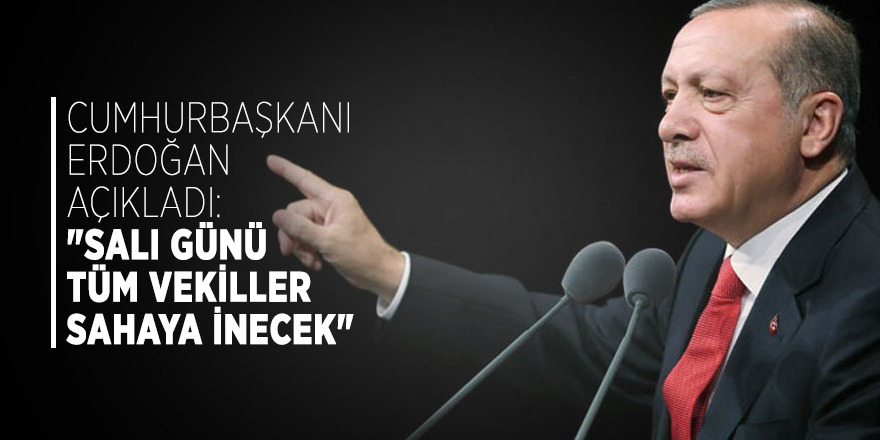 Cumhurbaşkanı Erdoğan açıkladı: "Salı günü tüm vekiller sahaya inecek"