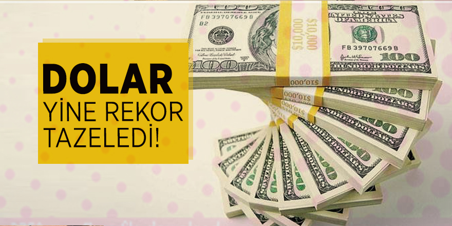Dolar yine rekor tazeledi!