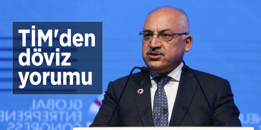TİM'den döviz yorumu