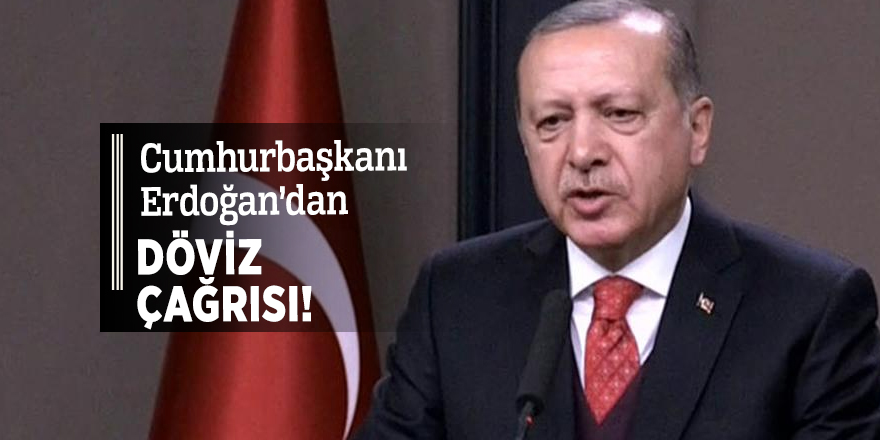 Erdoğan'dan döviz çağrısı!
