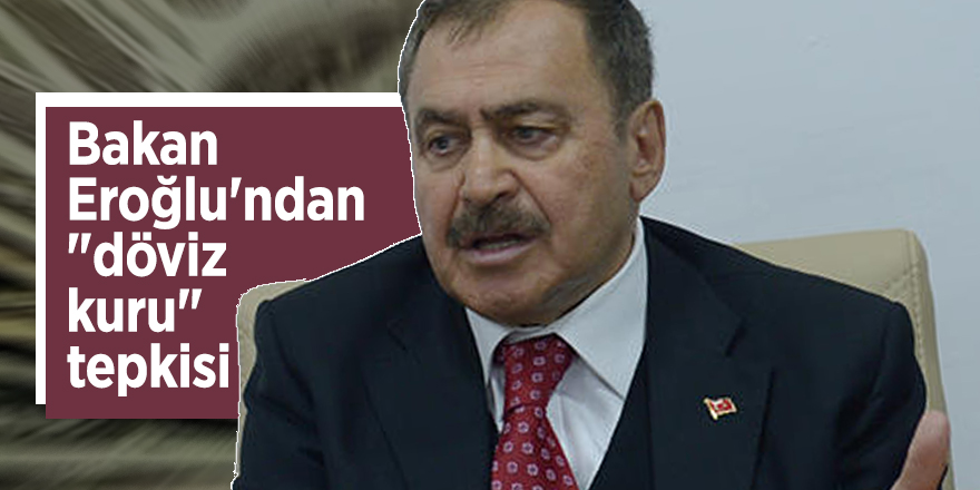 Bakan Eroğlu'ndan "döviz kuru" tepkisi