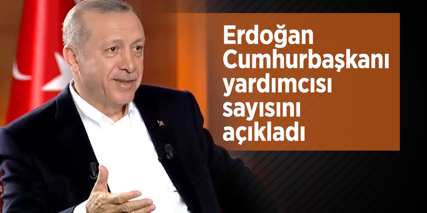 Erdoğan Cumhurbaşkanı yardımcısı sayısını açıkladı