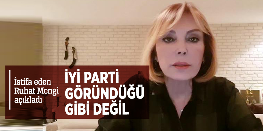 İstifa eden Ruhat Mengi: İP göründüğü gibi değil