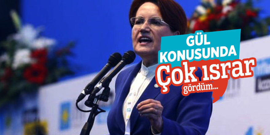 Meral Akşener: Gül konusunda çok ısrar gördüm...