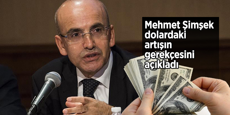 Mehmet Şimşek dolardaki artışın gerekçesini açıkladı