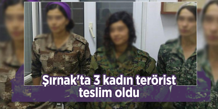 Şırnak'ta 3 kadın terörist teslim oldu