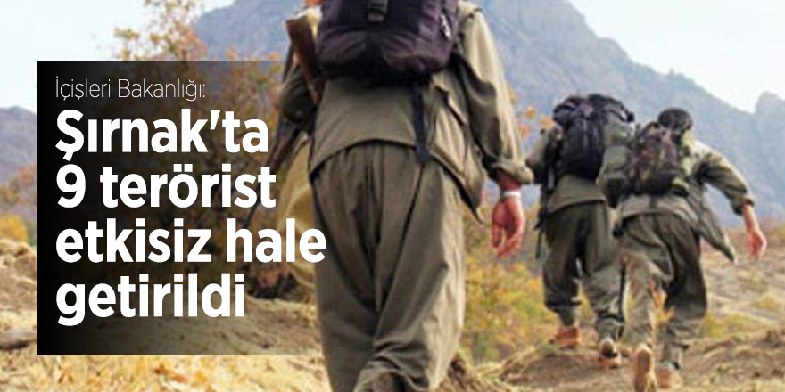 İçişleri Bakanlığı: Şırnak'ta 9 terörist etkisiz hale getirildi