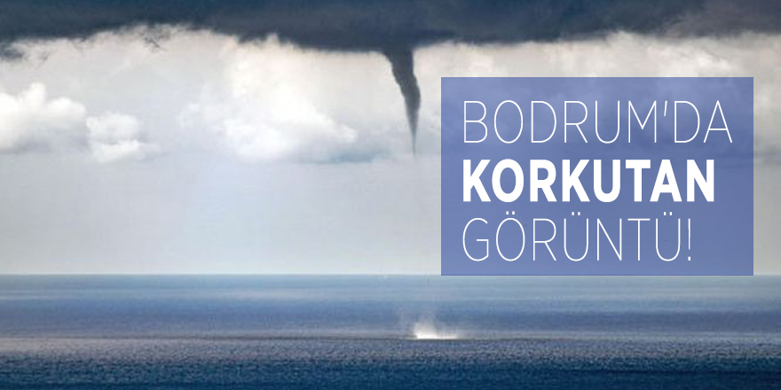 Bodrum'da korkutan görüntü!